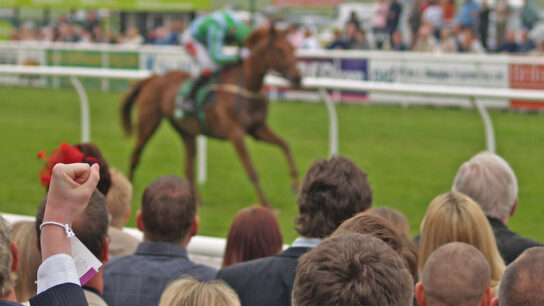 People enjoying the horse riding match.