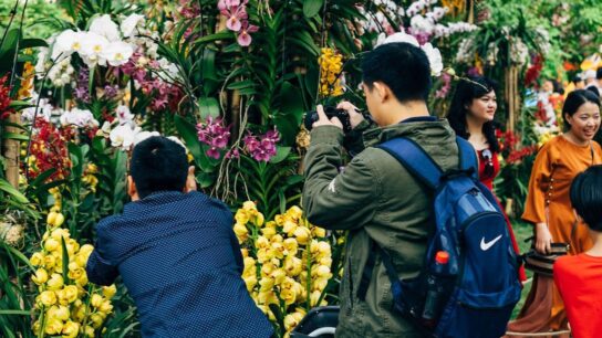 Group of boys and girls clicking the photos of the flower.