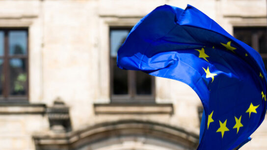 Flag with background building image